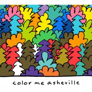 color me asheville all seasons t-shirt